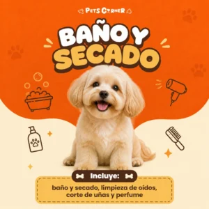 Baño y secado