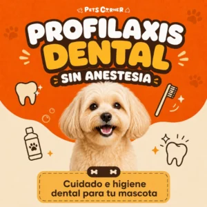 Profilaxis dental sin anestesia